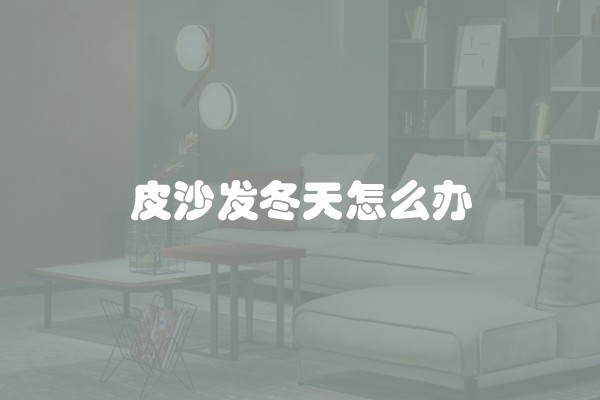 皮沙发冬天怎么办