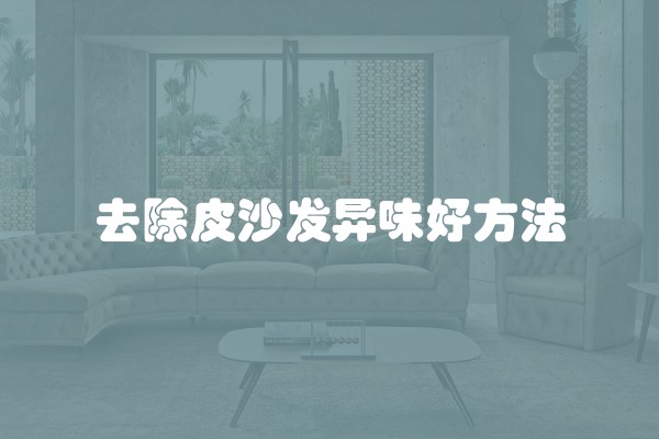 去除皮沙发异味好方法