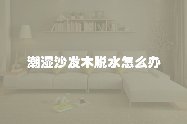 潮湿沙发木脱水怎么办