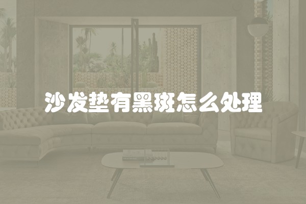 沙发垫有黑斑怎么处理