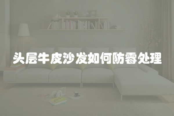 头层牛皮沙发如何防霉处理