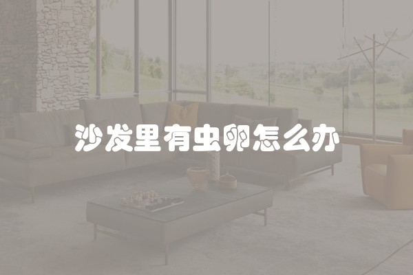 沙发里有虫卵怎么办