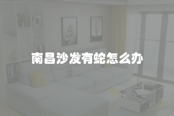 南昌沙发有蛇怎么办