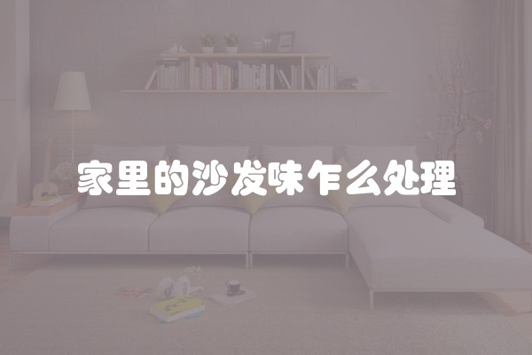家里的沙发味乍么处理