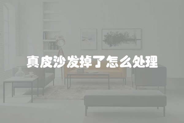 真皮沙发掉了怎么处理