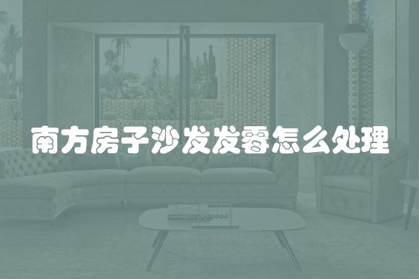 南方房子沙发发霉怎么处理