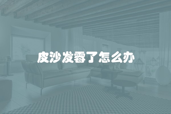 皮沙发霉了怎么办