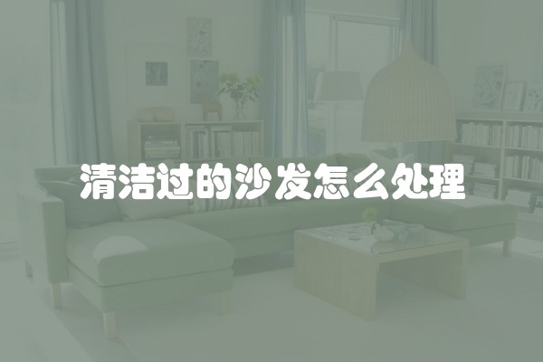 清洁过的沙发怎么处理