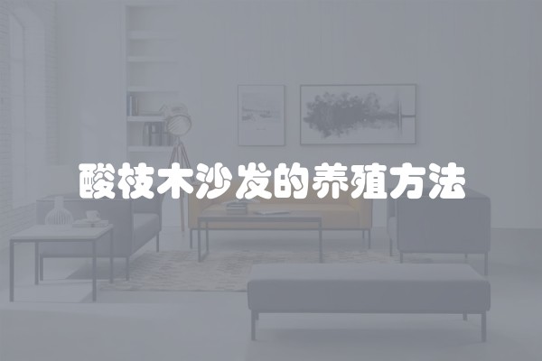 酸枝木沙发的养殖方法