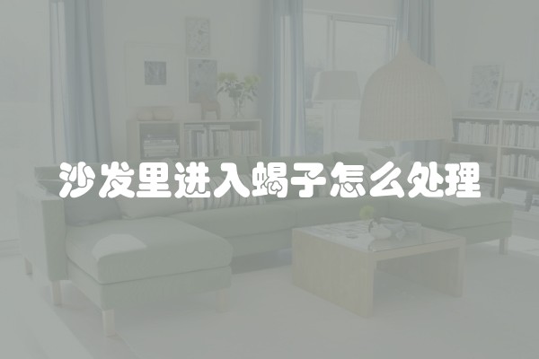 沙发里进入蝎子怎么处理