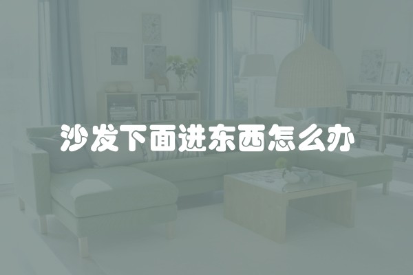 沙发下面进东西怎么办