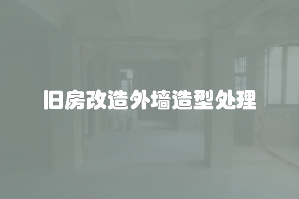 旧房改造外墙造型处理