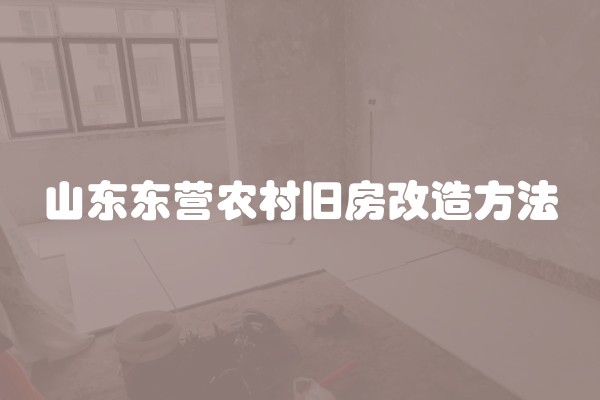 山东东营农村旧房改造方法