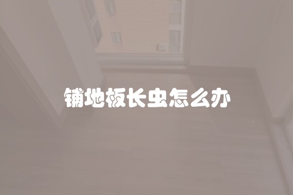 铺地板长虫怎么办