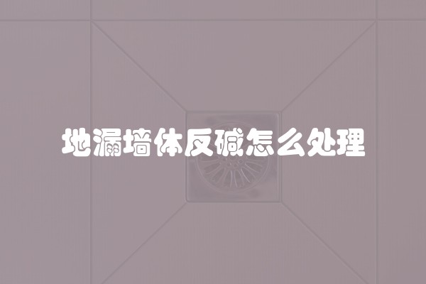 地漏墙体反碱怎么处理