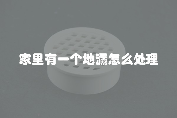 家里有一个地漏怎么处理