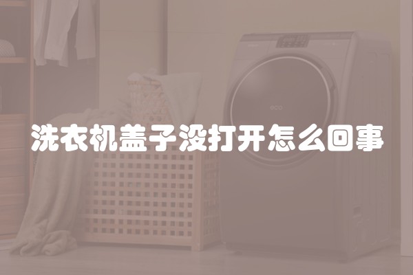 洗衣机盖子没打开怎么回事