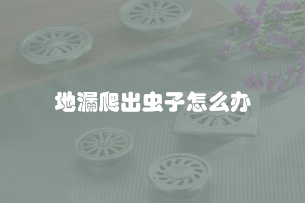 地漏爬出虫子怎么办