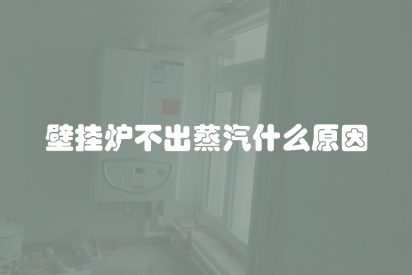 壁挂炉不出蒸汽什么原因