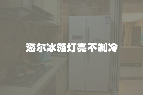 海尔冰箱灯亮不制冷