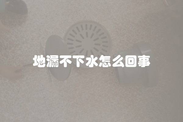 地漏不下水怎么回事
