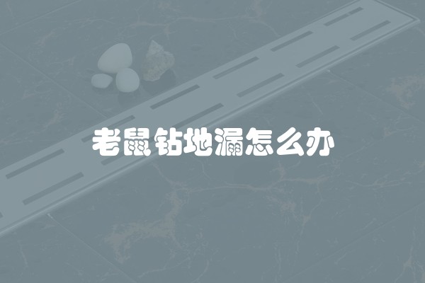 老鼠钻地漏怎么办