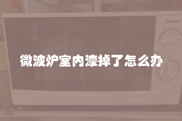 微波炉室内漆掉了怎么办