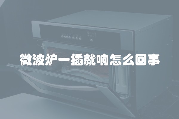 微波炉一插就响怎么回事