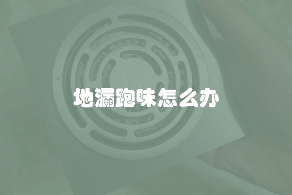 地漏跑味怎么办