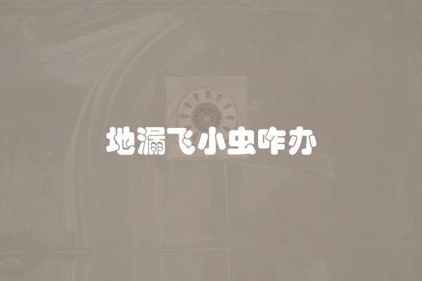 地漏飞小虫咋办