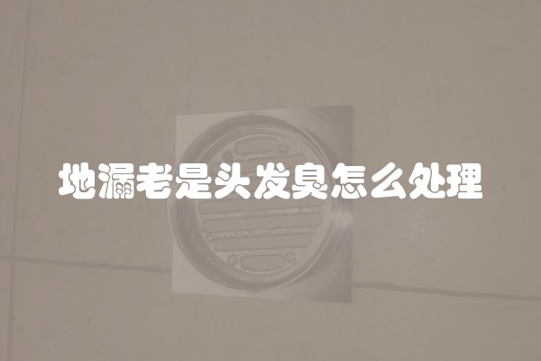 地漏老是头发臭怎么处理