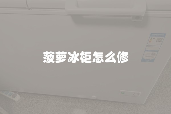 菠萝冰柜怎么修