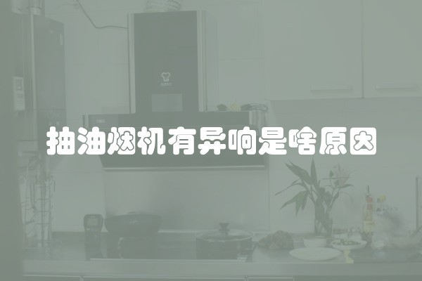 抽油烟机有异响是啥原因