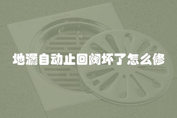 地漏自动止回阀坏了怎么修