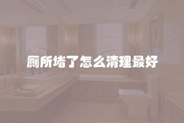 厕所堵了怎么清理最好