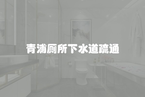 青浦厕所下水道疏通
