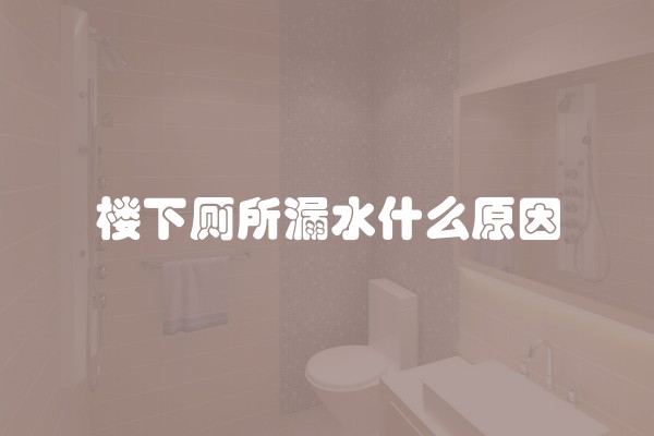 楼下厕所漏水什么原因