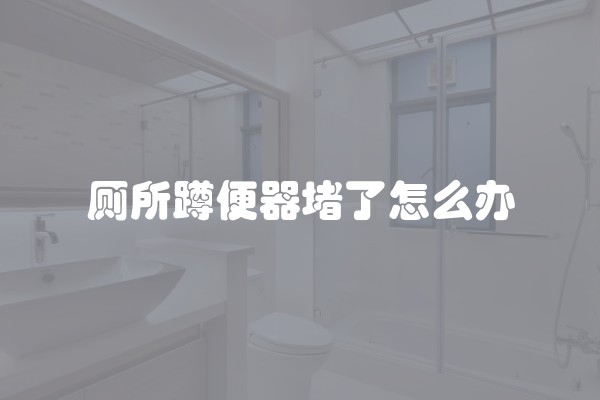 厕所蹲便器堵了怎么办