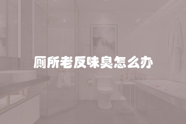 厕所老反味臭怎么办