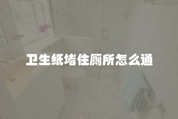 卫生纸堵住厕所怎么通