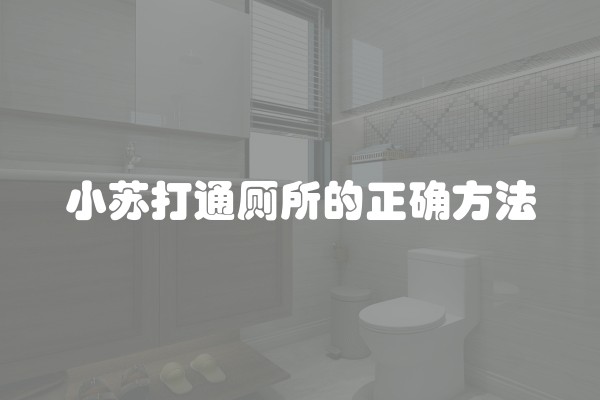 小苏打通厕所的正确方法