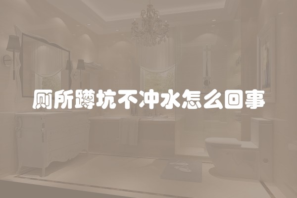 厕所蹲坑不冲水怎么回事