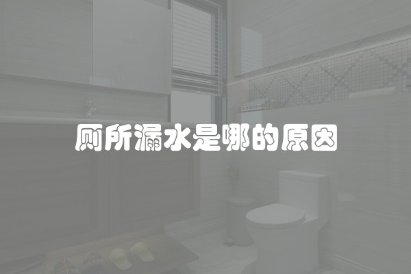 厕所漏水是哪的原因