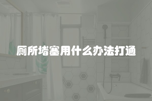 厕所堵塞用什么办法打通
