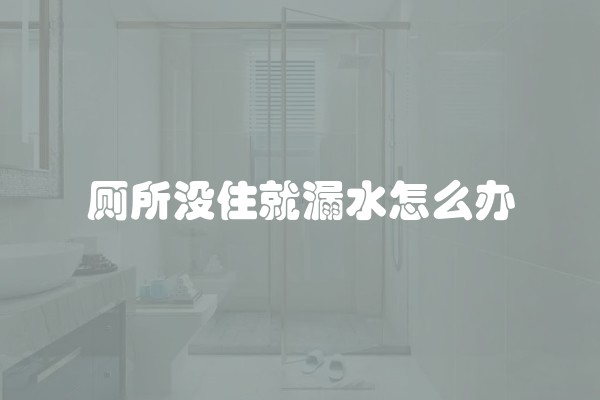 厕所没住就漏水怎么办