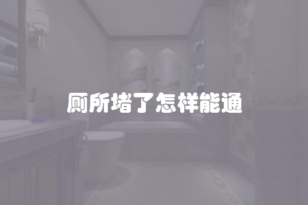 厕所堵了怎样能通