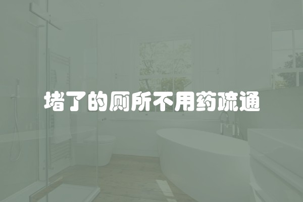 堵了的厕所不用药疏通