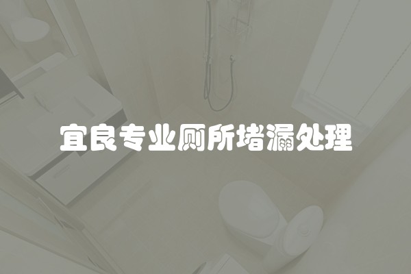 宜良专业厕所堵漏处理