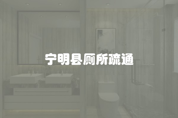 宁明县厕所疏通