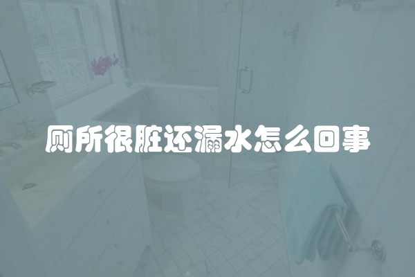 厕所很脏还漏水怎么回事